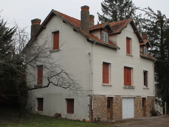 Maison à Cosne d'Allier sur +/- 4000 m2 de terrain, avec vue dégagée.