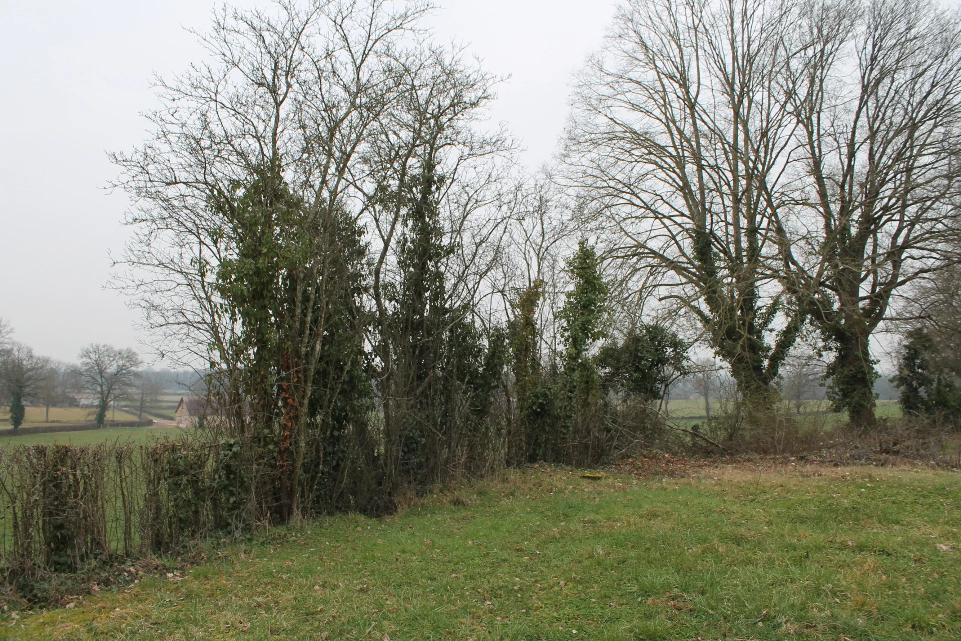 Maison à Cosne d'Allier sur +/- 4000 m2 de terrain, avec vue dégagée. 