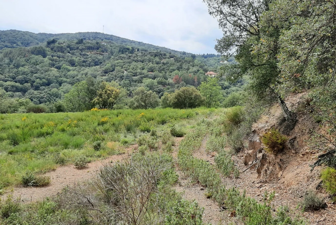 Terrain de loisir de 27 000m2 à Oms avec vue sur les montagnes 