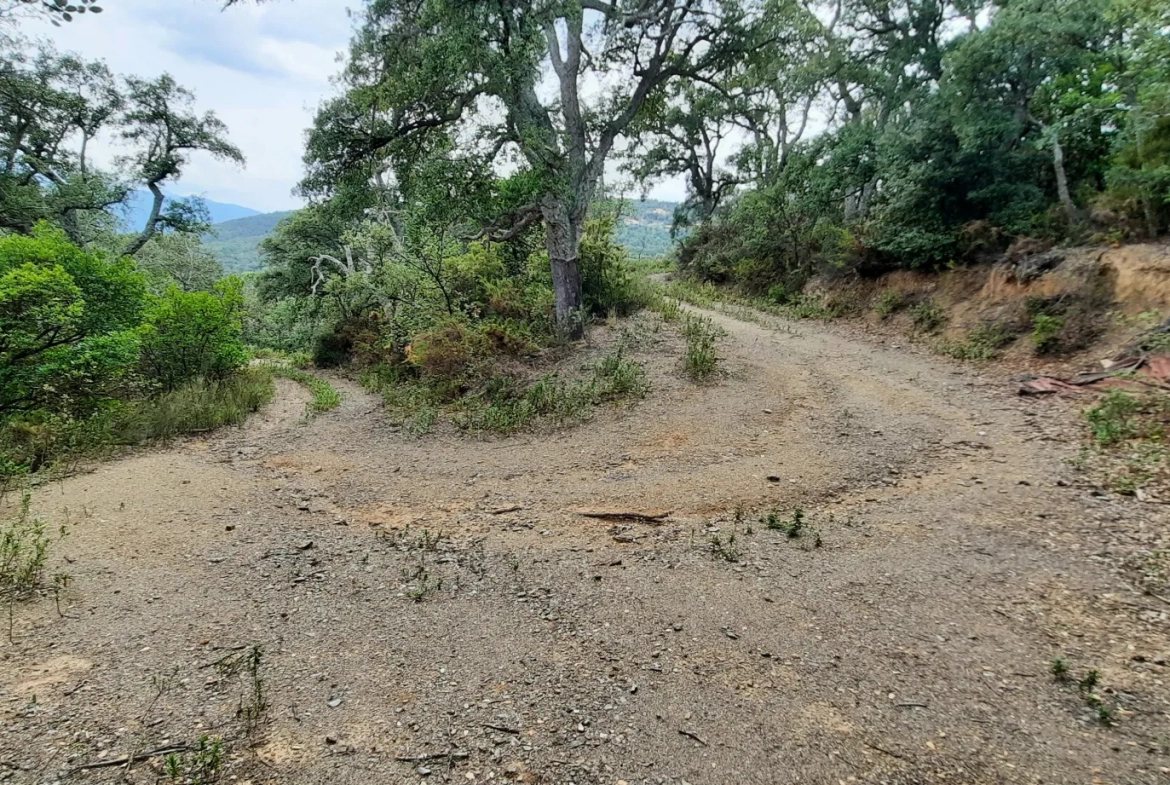 Terrain de loisir de 27 000m2 à Oms avec vue sur les montagnes 