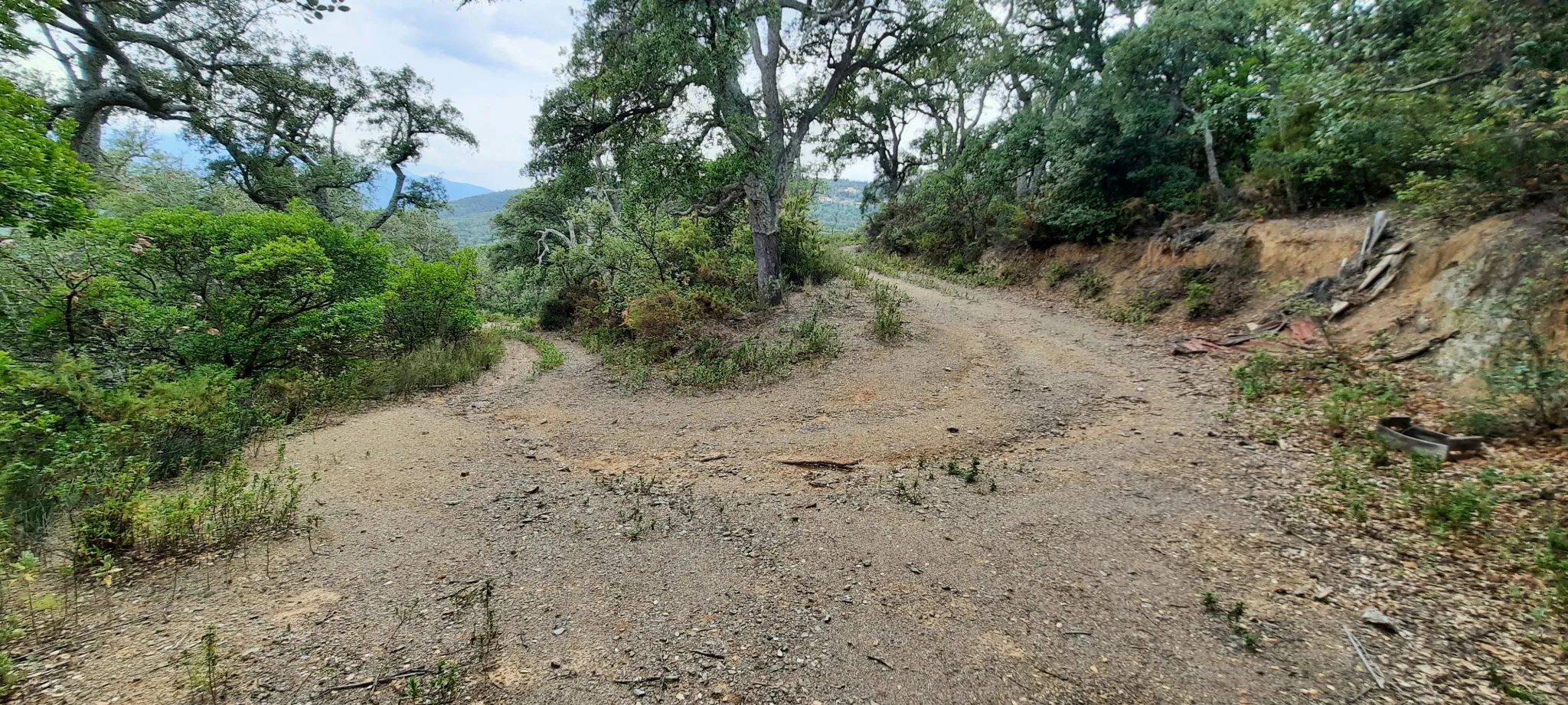 Terrain de loisir de 27 000m2 à Oms avec vue sur les montagnes 