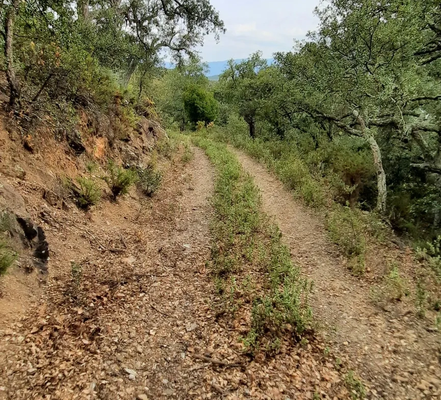 Terrain de loisir de 27 000m2 à Oms avec vue sur les montagnes 