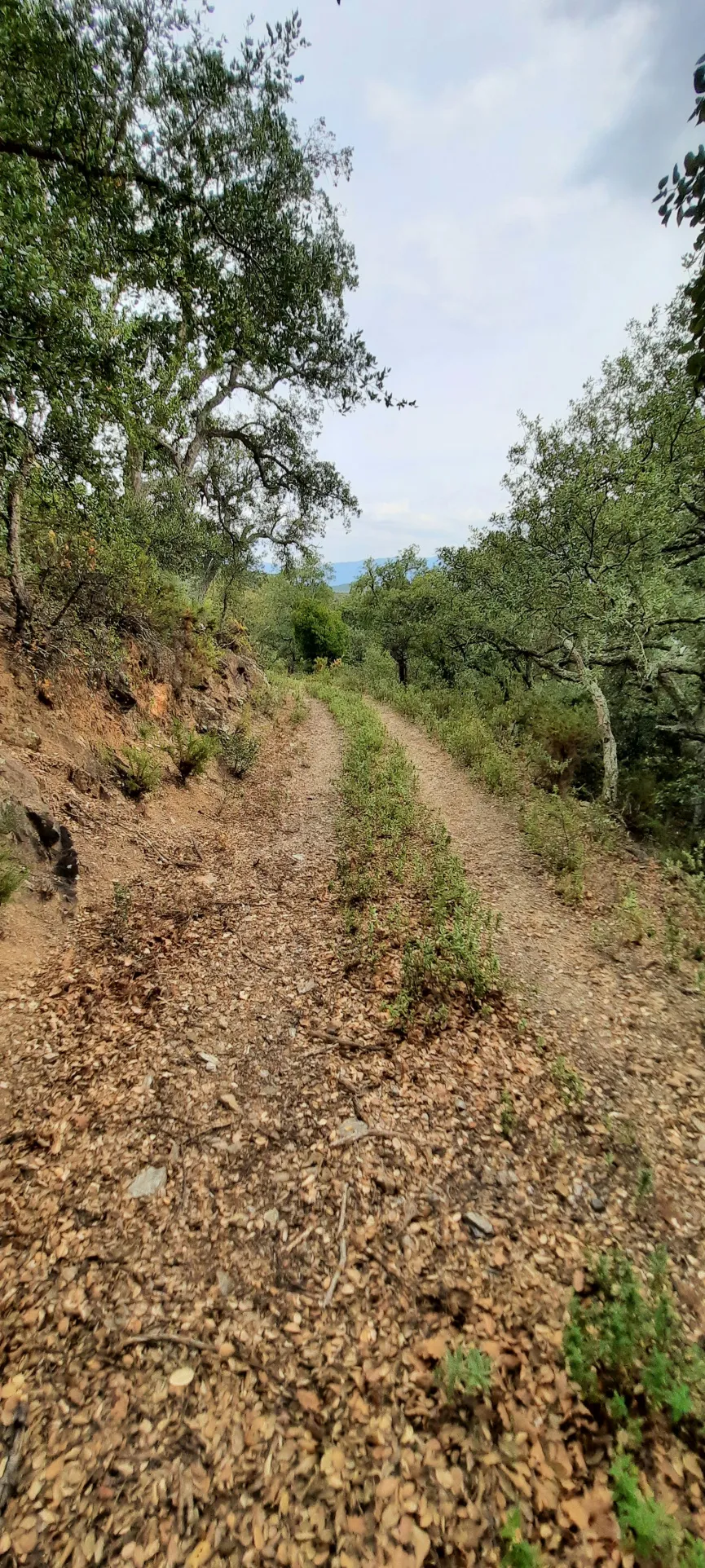 Terrain de loisir de 27 000m2 à Oms avec vue sur les montagnes 