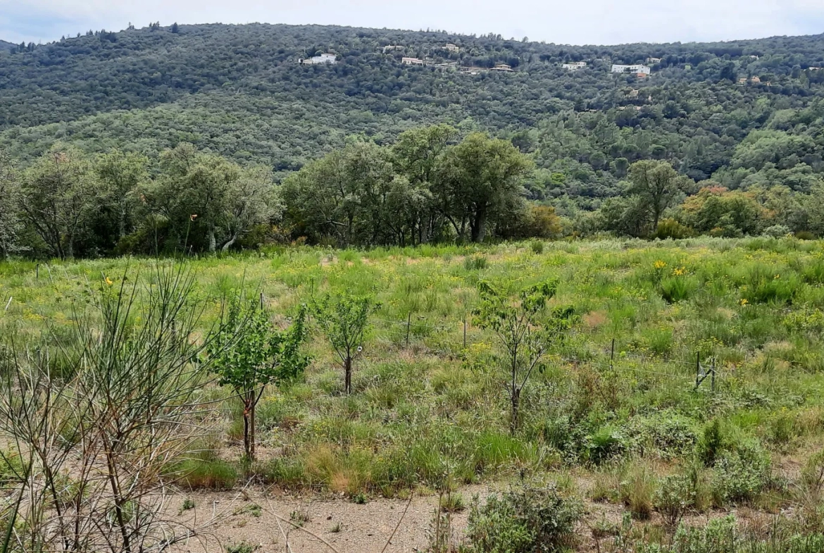 Terrain de loisir de 27 000m2 à Oms avec vue sur les montagnes 