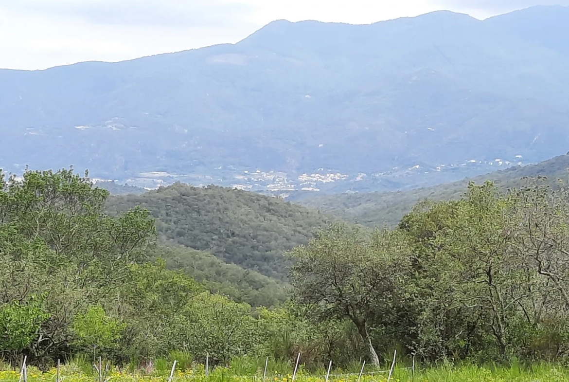 Terrain de loisir de 27 000m2 à Oms avec vue sur les montagnes 