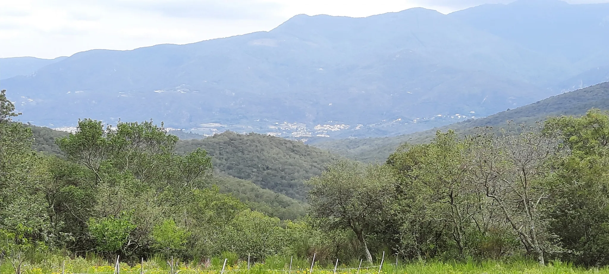 Terrain de loisir de 27 000m2 à Oms avec vue sur les montagnes 