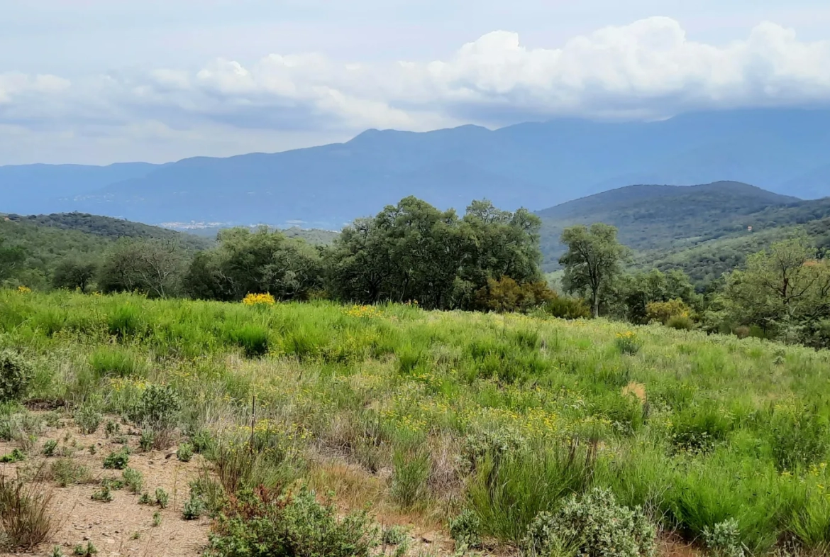 Terrain de loisir de 27 000m2 à Oms avec vue sur les montagnes 