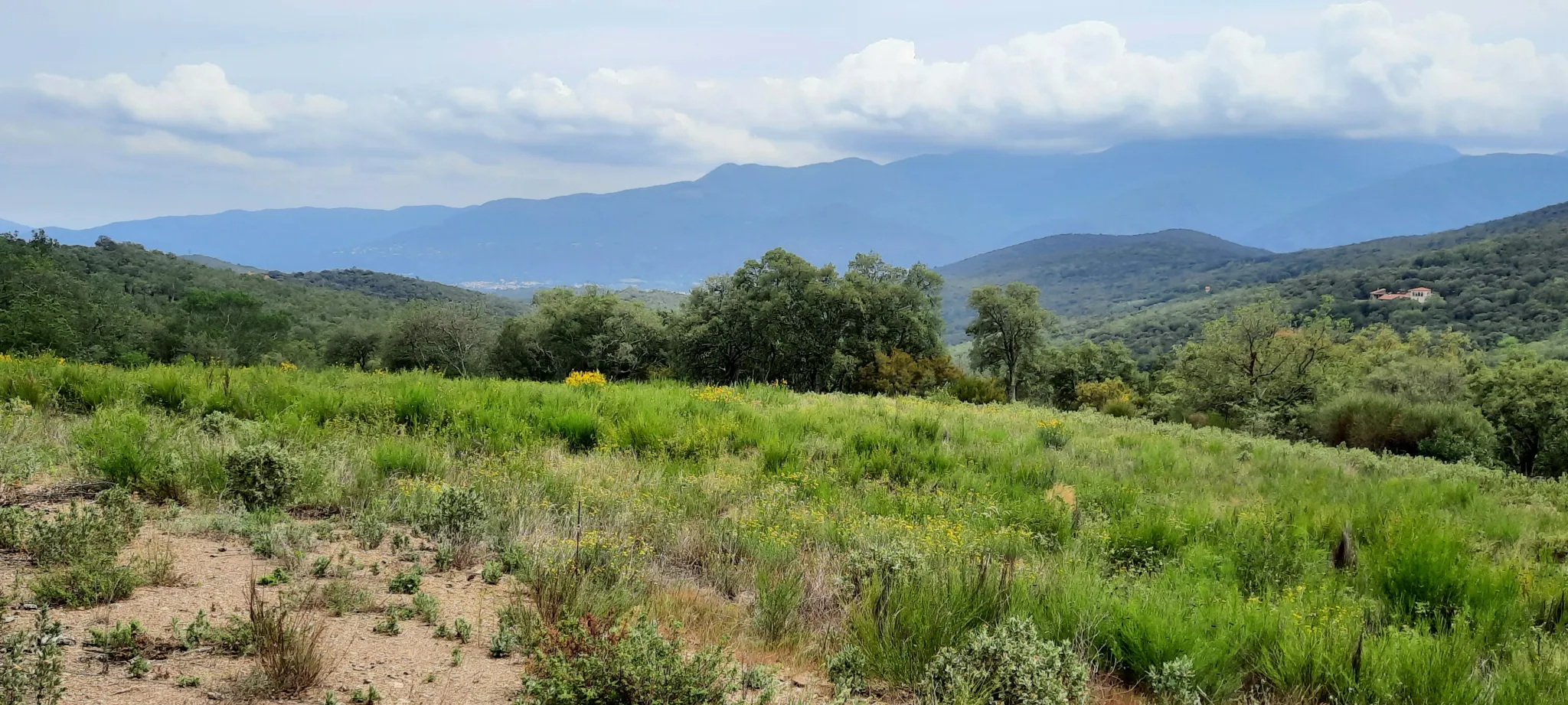 Terrain de loisir de 27 000m2 à Oms avec vue sur les montagnes 