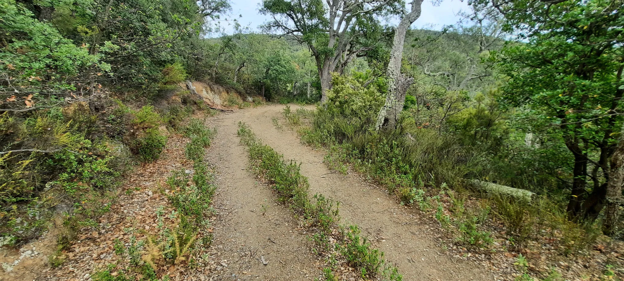 Terrain de loisir de 27 000m2 à Oms avec vue sur les montagnes 