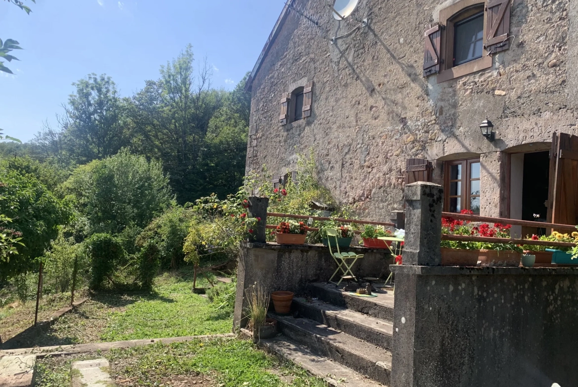 Magnifique ferme avec vue sur le bassin de Champagney 