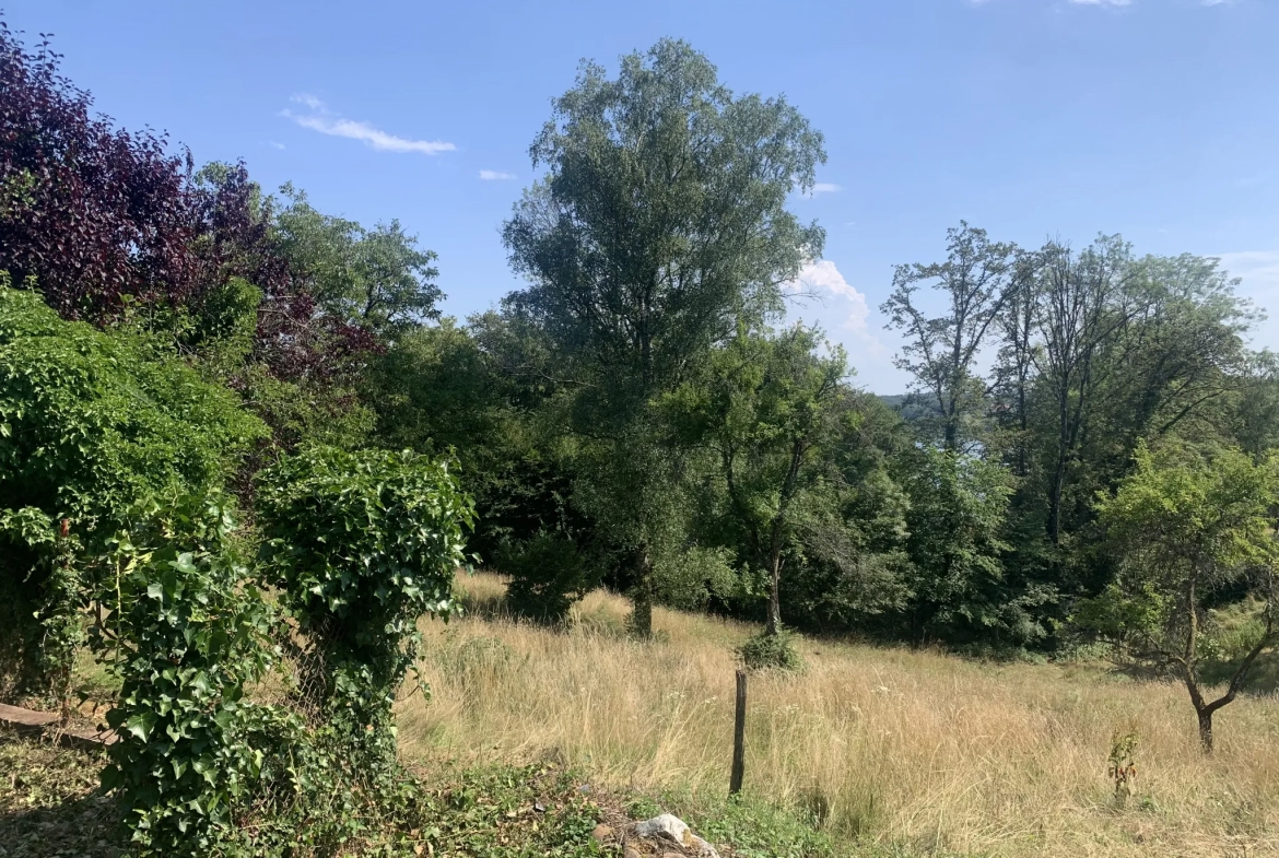 Magnifique ferme avec vue sur le bassin de Champagney 