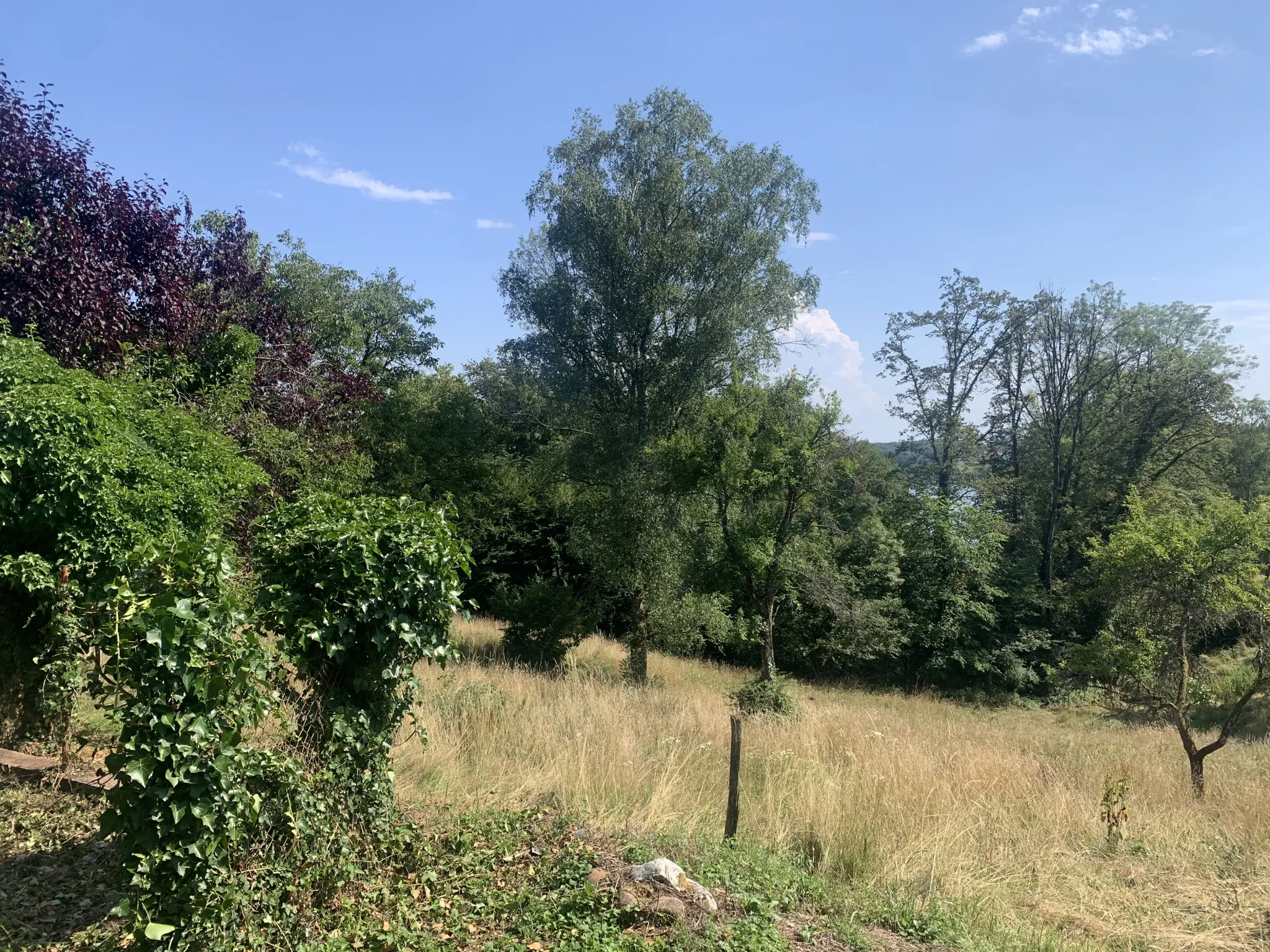 Magnifique ferme avec vue sur le bassin de Champagney 