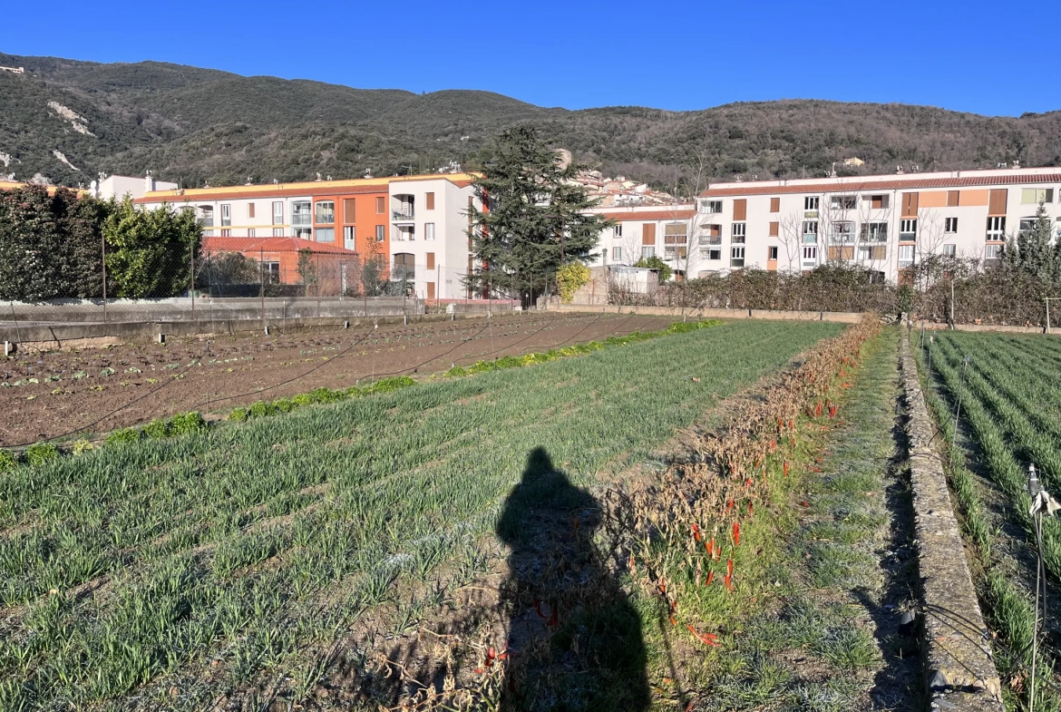 Terrain constructible à Amélie-les-Bains-Palalda 