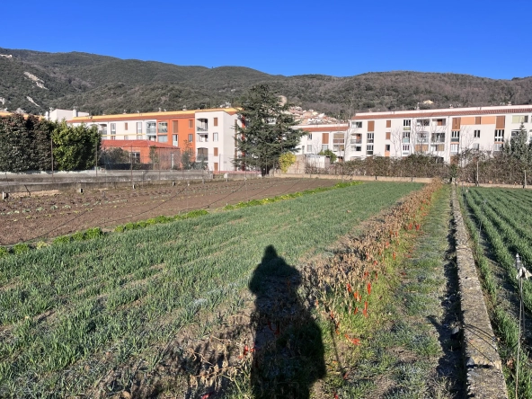 Terrain constructible à Amélie-les-Bains-Palalda