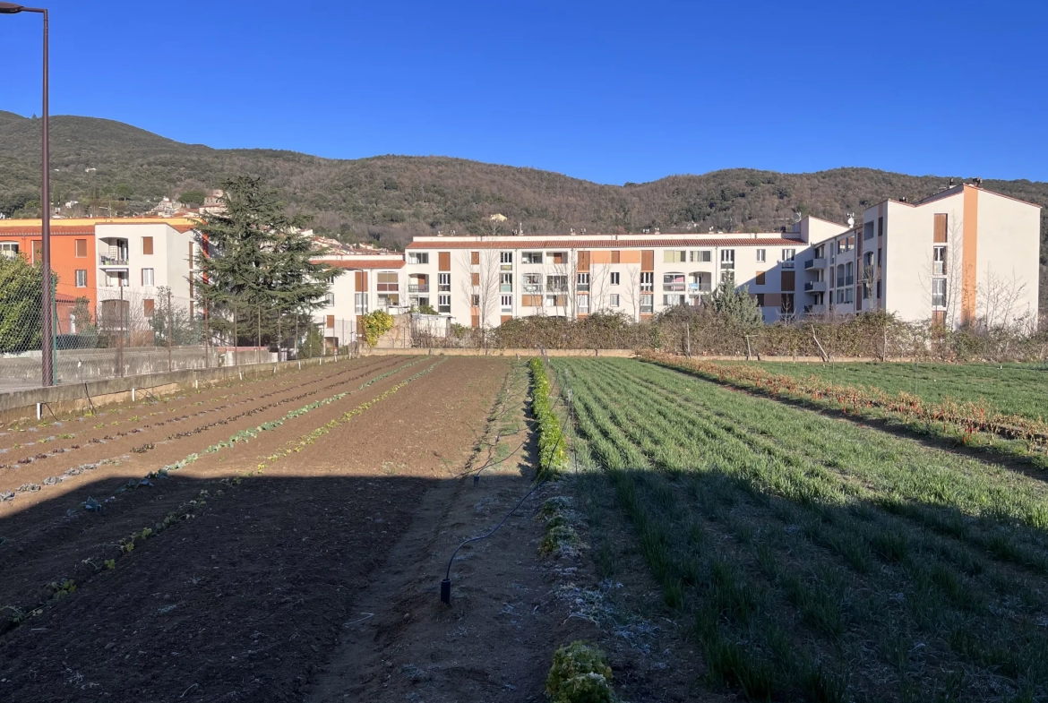 Terrain constructible à Amélie-les-Bains-Palalda 