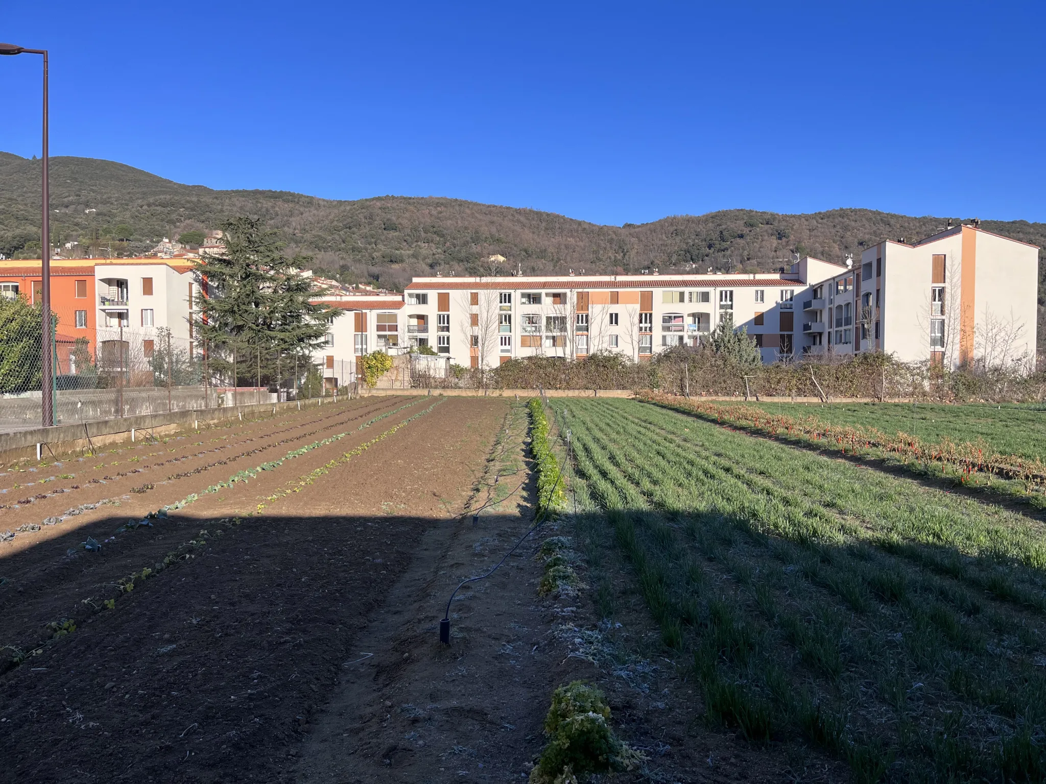 Terrain constructible à Amélie-les-Bains-Palalda 