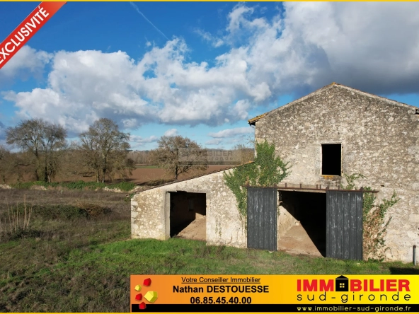 Belle bâtisse en pierre à réhabiliter avec vue sur les bords de Garonne à Podensac