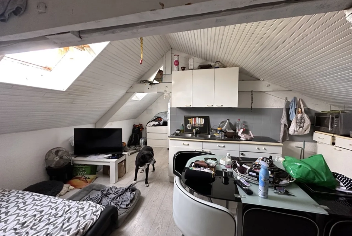 Immeuble de rapport à Bray-sur-Seine - 4 appartements 