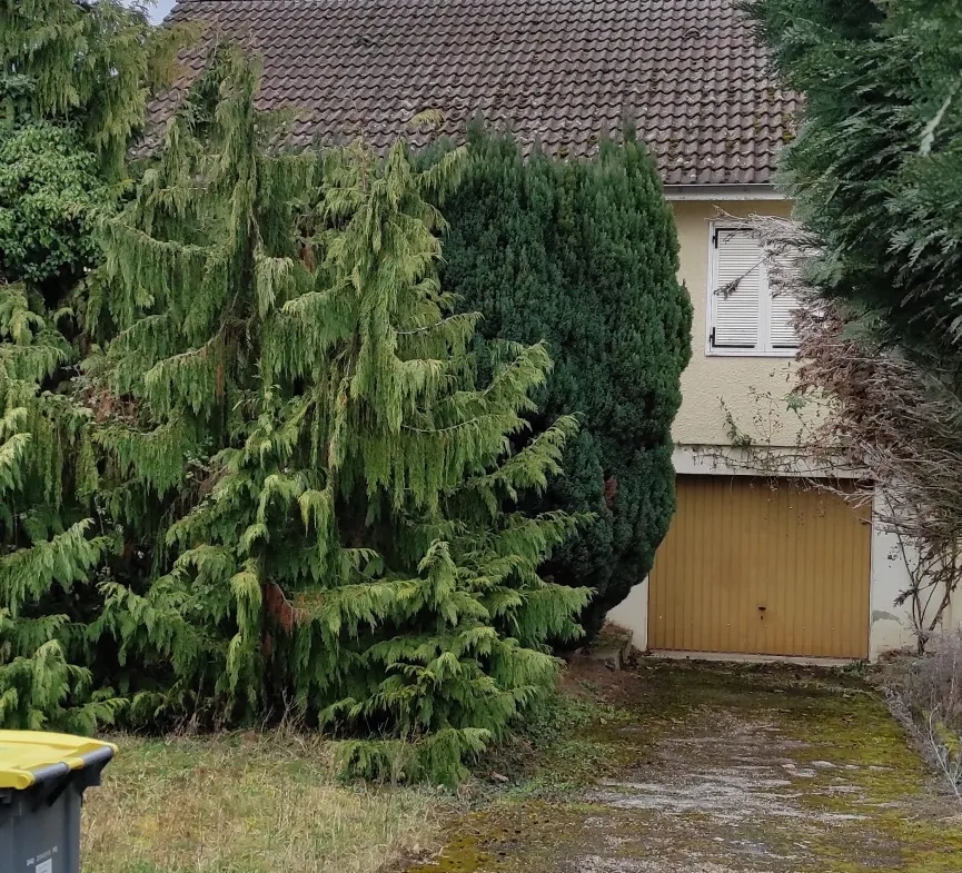 Maison avec vue sur le Puy-de-Dôme à Saint-Yorre 