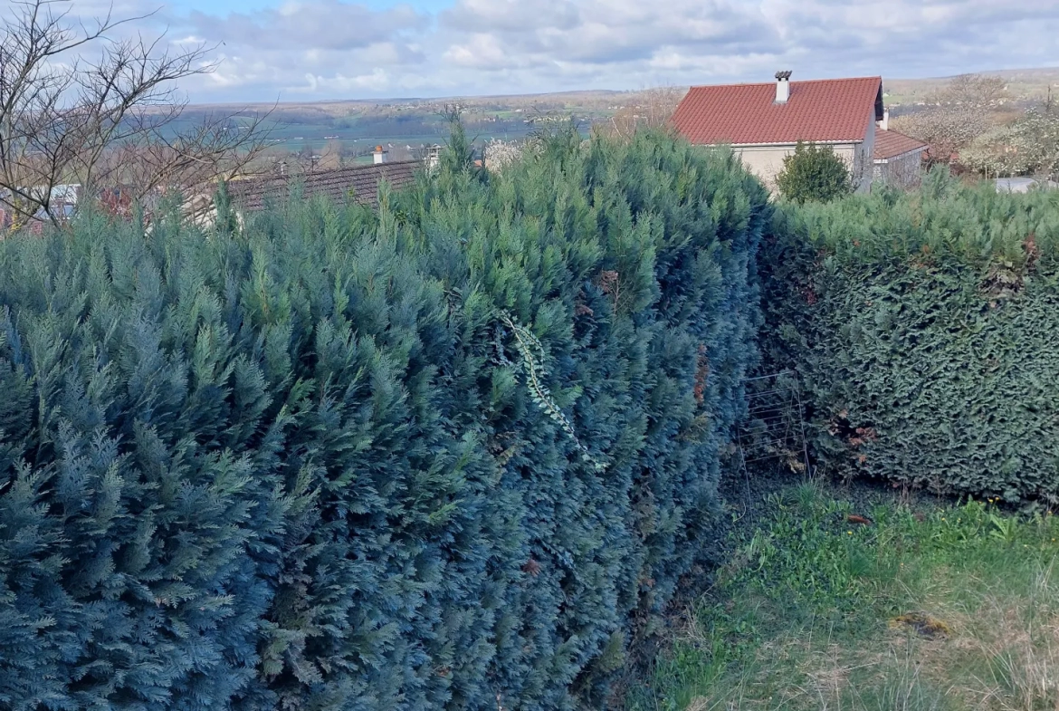 Maison avec vue sur le Puy-de-Dôme à Saint-Yorre 