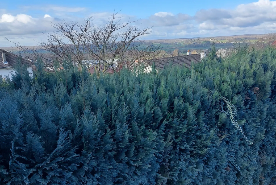 Maison avec vue sur le Puy-de-Dôme à Saint-Yorre 