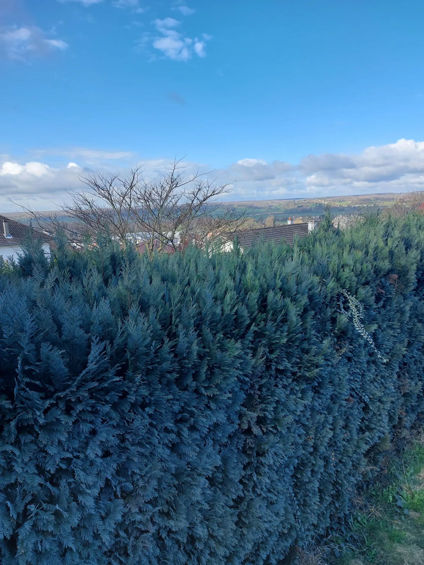 Maison avec vue sur le Puy-de-Dôme à Saint-Yorre 