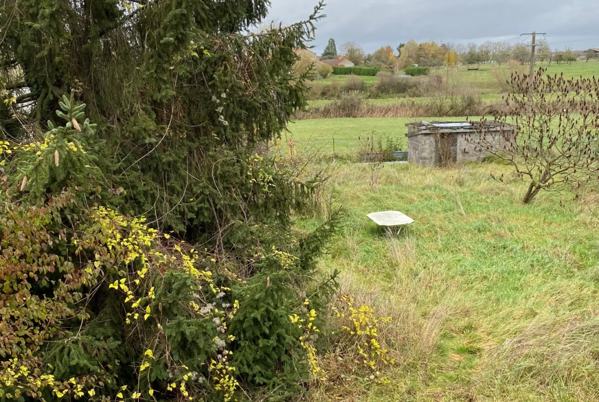 Maison individuelle à vendre à Arraye et han 