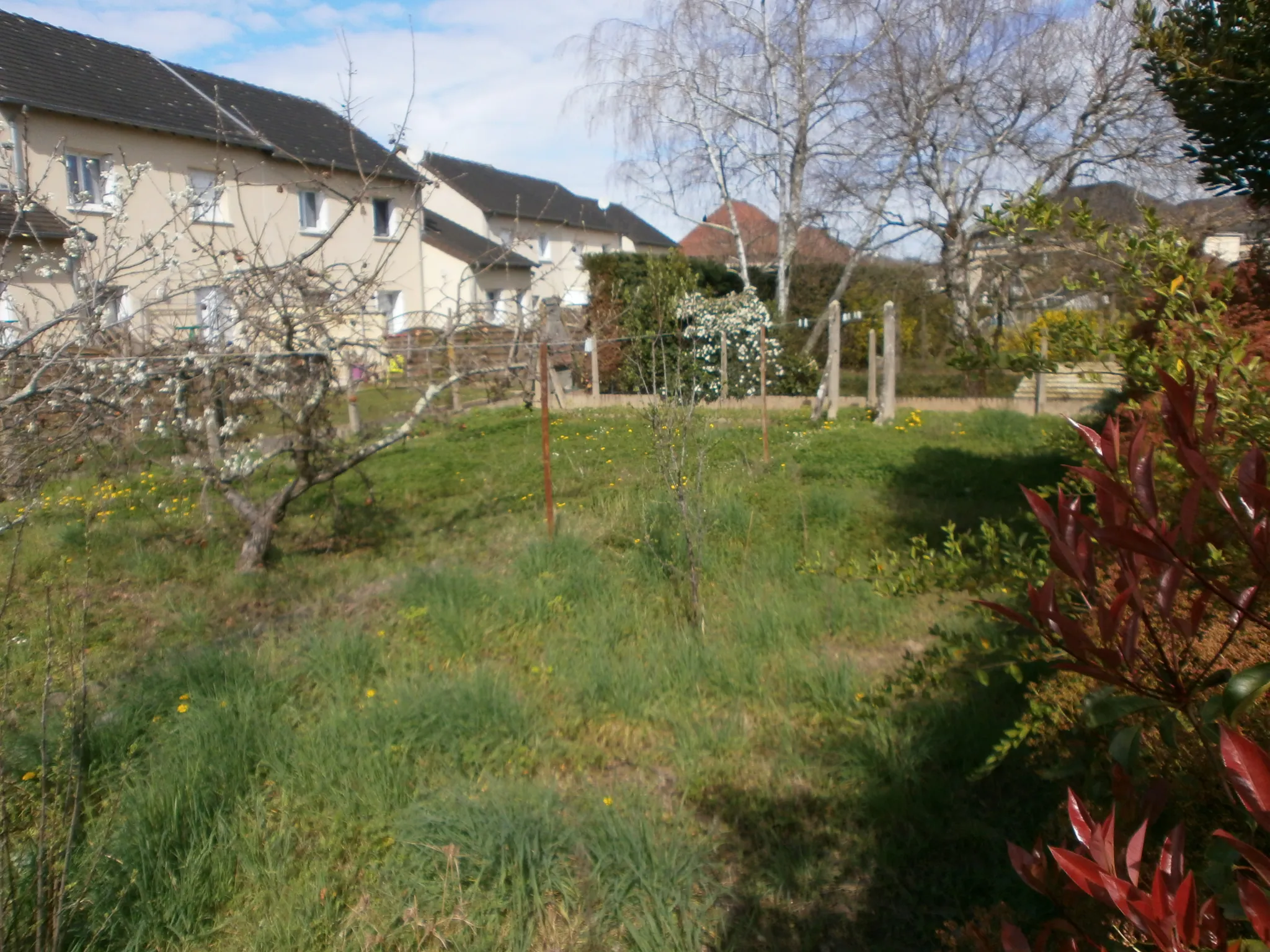 Magnifique Maison Individuelle avec garage et jardin 