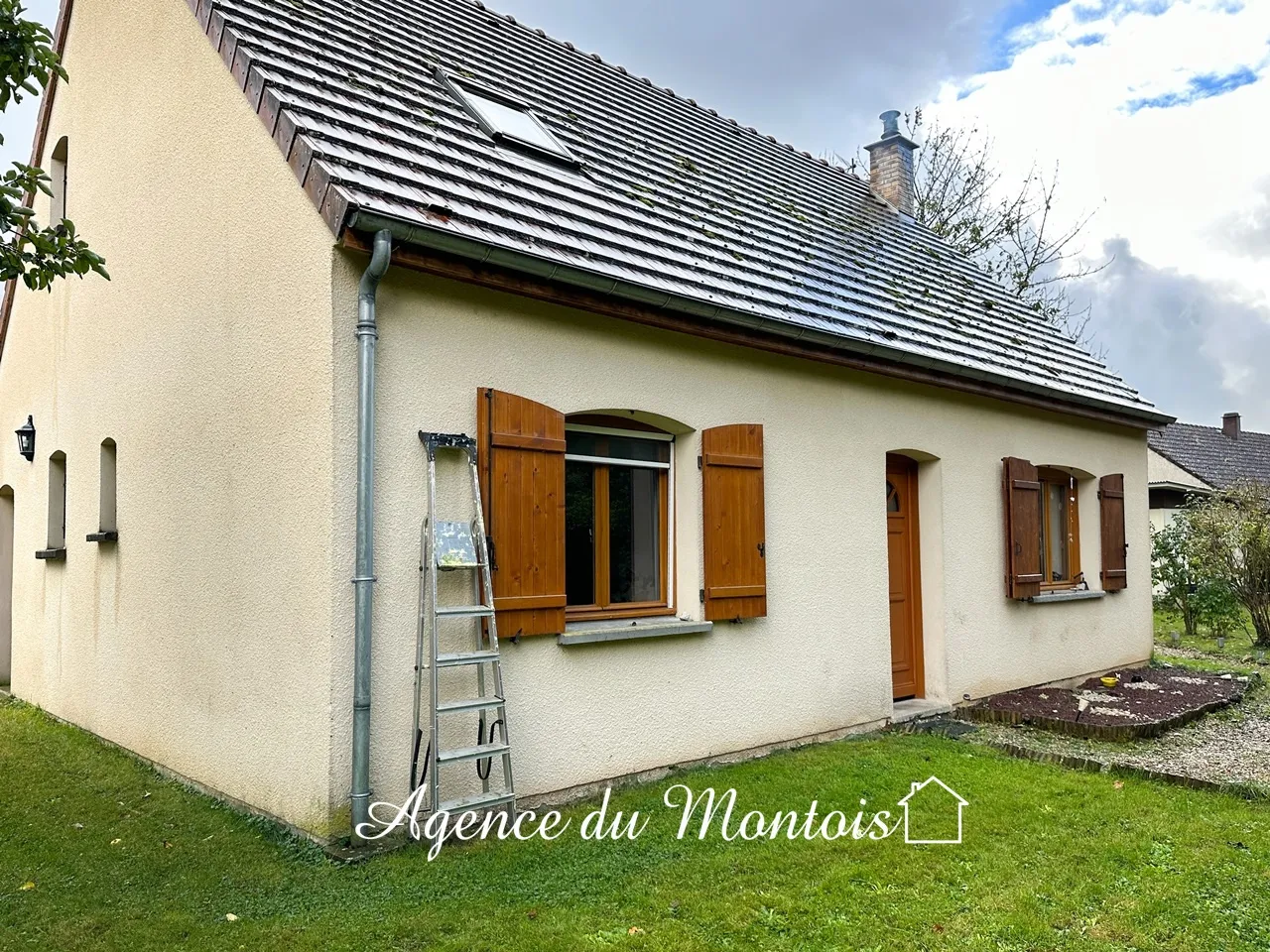 Pavillon Traditionnel à Bray sur Seine - Jardin 1524m2 