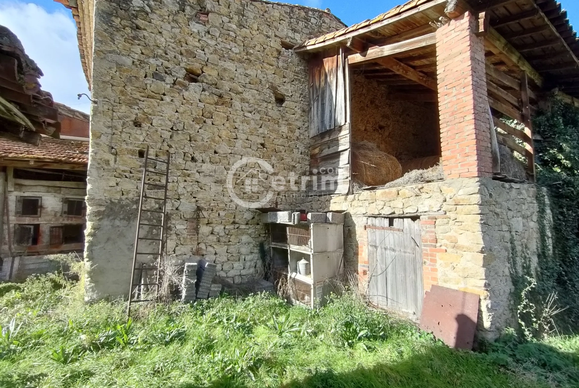 Maison en pierre de 60 m2 avec jardin à vendre à Billom 