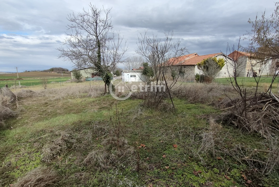 Maison en pierre de 60 m2 avec jardin à vendre à Billom 