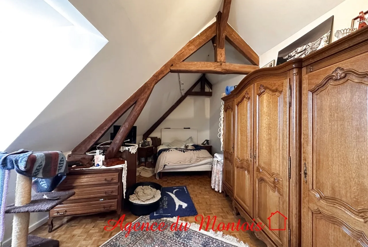 Charming Briarde Farmhouse in Bray Sur Seine 