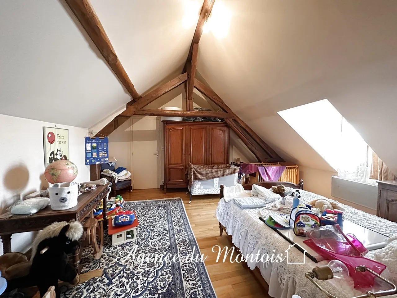 Charming Briarde Farmhouse in Bray Sur Seine 