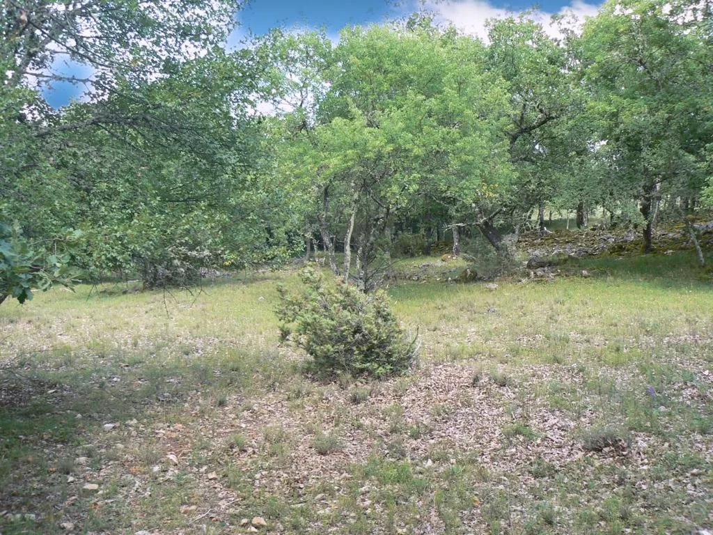 Terrain de loisirs à St Vallier de Thiey 