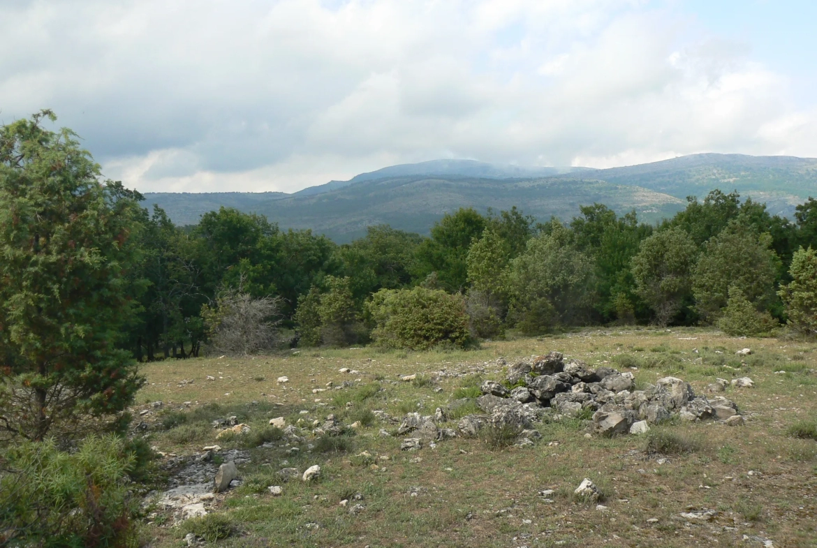 Terrain de loisirs à St Vallier de Thiey 