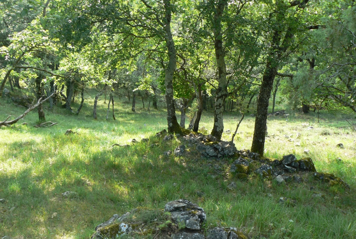 Terrain de loisirs à St Vallier de Thiey 