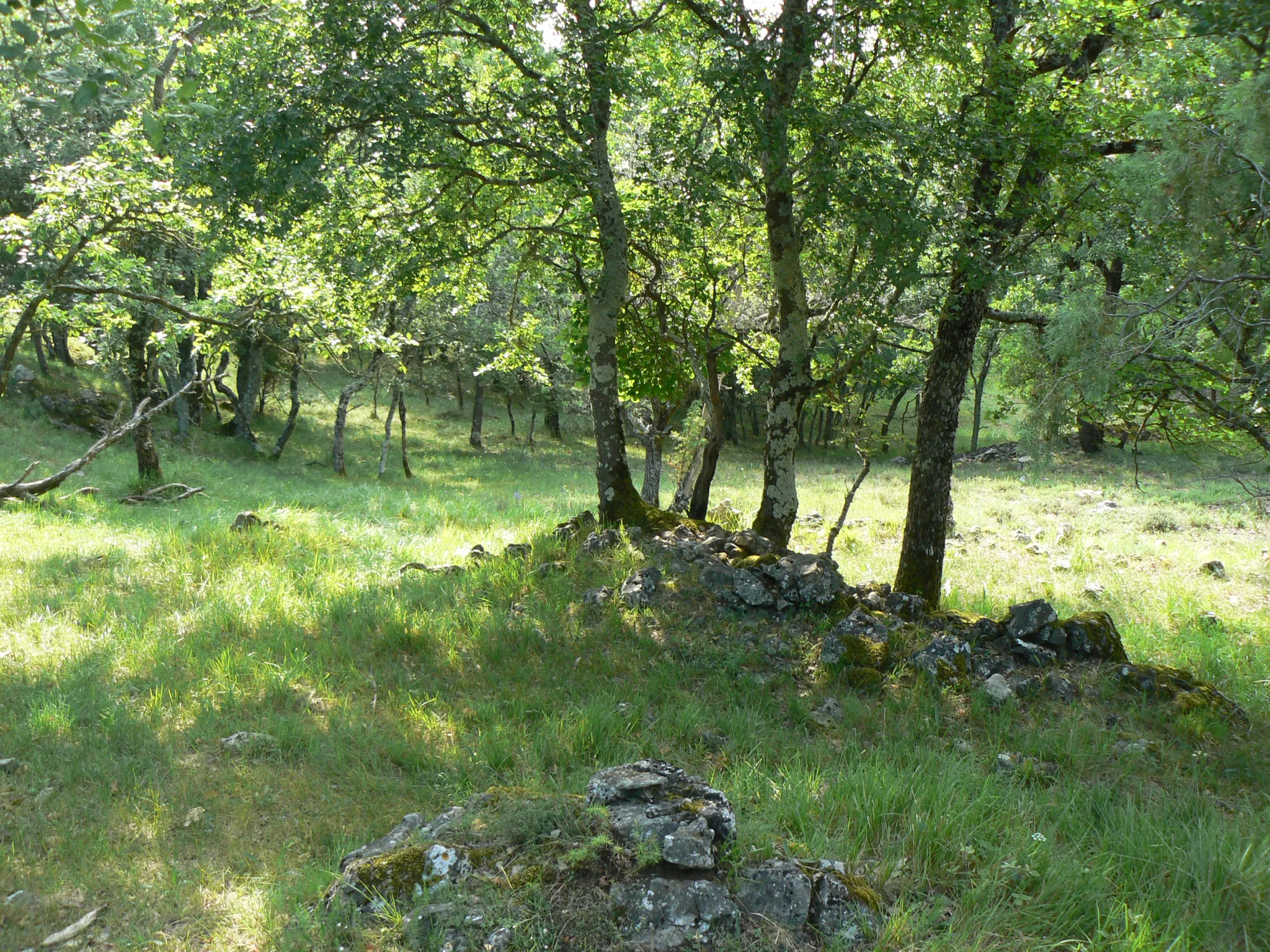 Terrain de loisirs à St Vallier de Thiey 