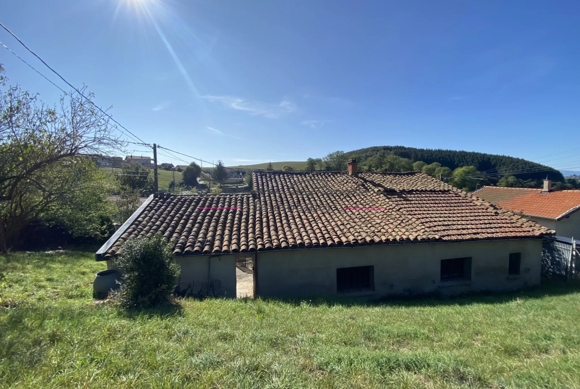 Maison d'habitation avec sous-sol de caves et terrain attenant - Ste colombe sur gand 