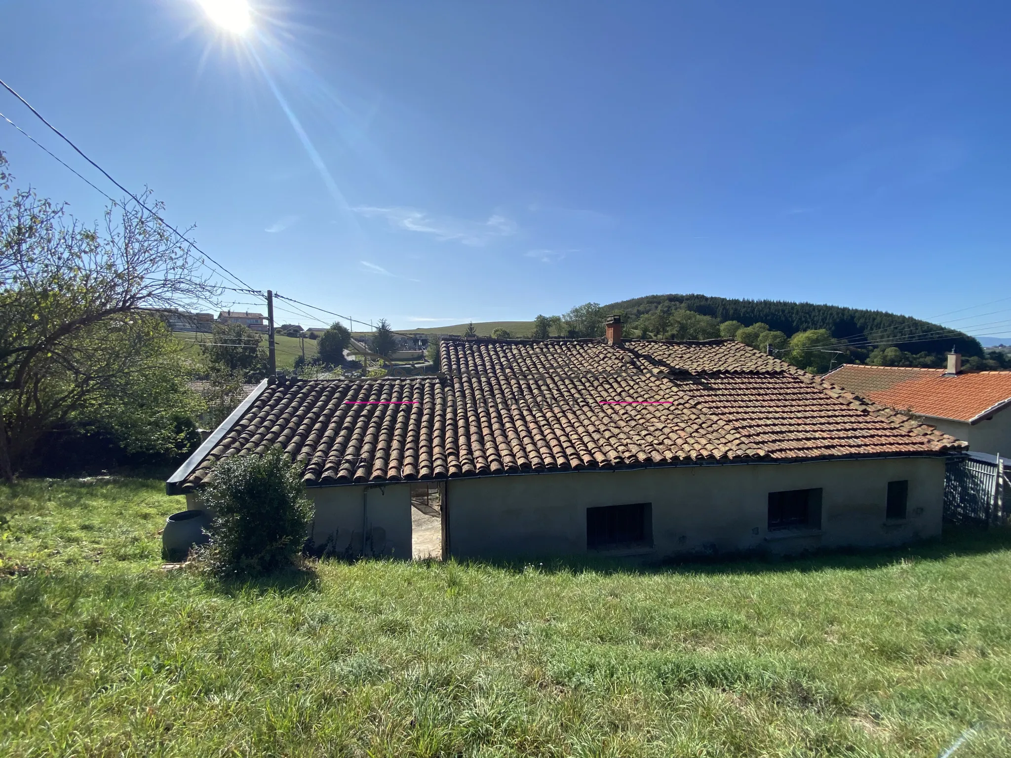 Maison d'habitation avec sous-sol de caves et terrain attenant - Ste colombe sur gand 