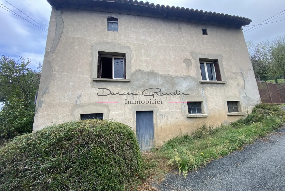 Maison d'habitation avec sous-sol de caves et terrain attenant - Ste colombe sur gand 