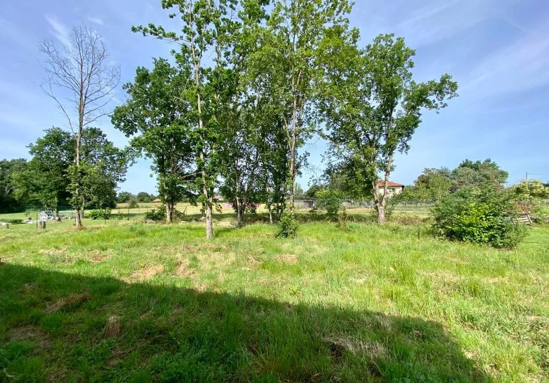 Magnifique emplacement pour cette maison neuve ! 