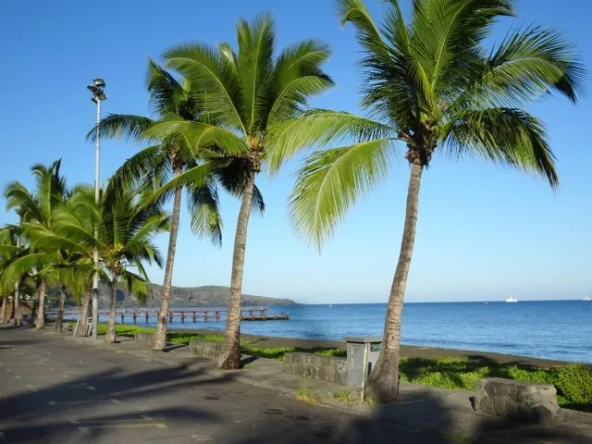 Résidence neuve du T2 au T4 - SAINT-PAUL BORD DE MER