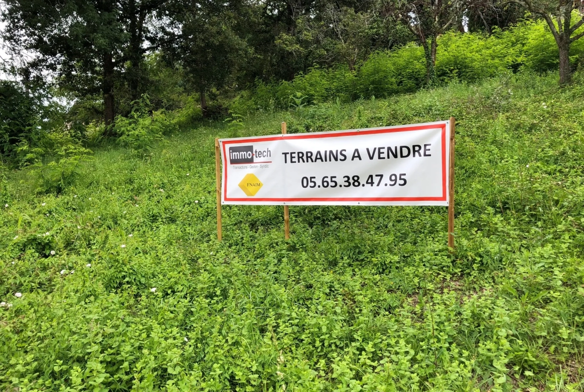 Terrain constructible à Altillac - 4301m2 - Possibilité de lotissement 