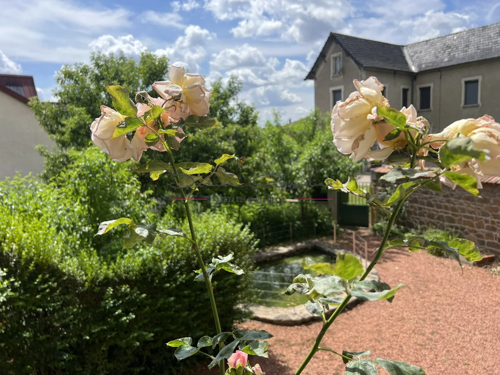 Ensemble immobilier comprenant 2 logements et terrain attenant à Bourg de Thizy 