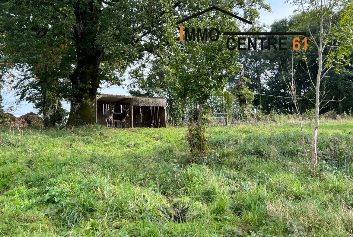 Longère plain-pied à vendre sur 2,6 hectares avec plan d'eau 