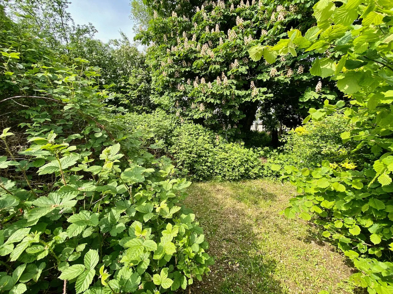 Maison Semi-Individuelle à Neuf Mesnil avec Salon Spacieux et Grand Terrain 