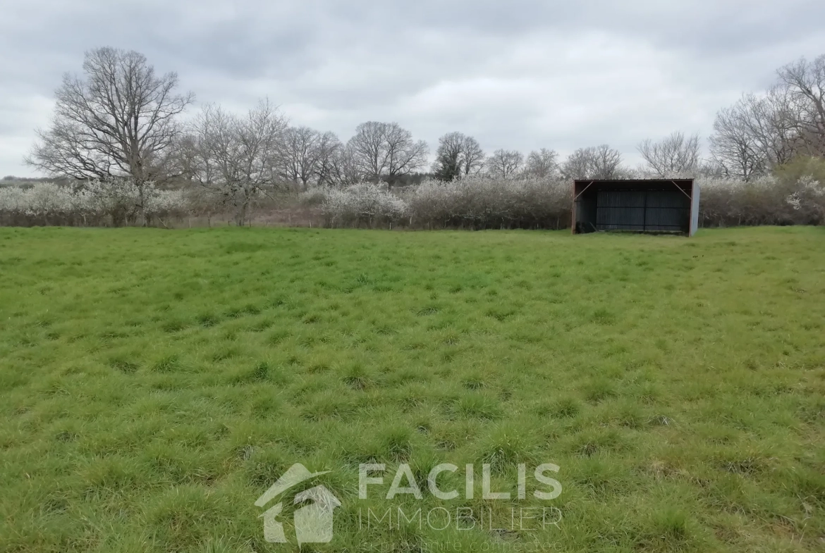 Terrain agricole de 2210m2 avec hangar bardé de 40m2 