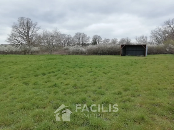 Terrain agricole de 2210m2 avec hangar bardé de 40m2