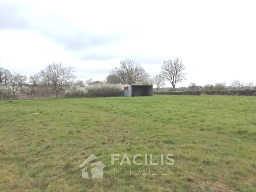 Terrain agricole de 2210m2 avec hangar bardé de 40m2 