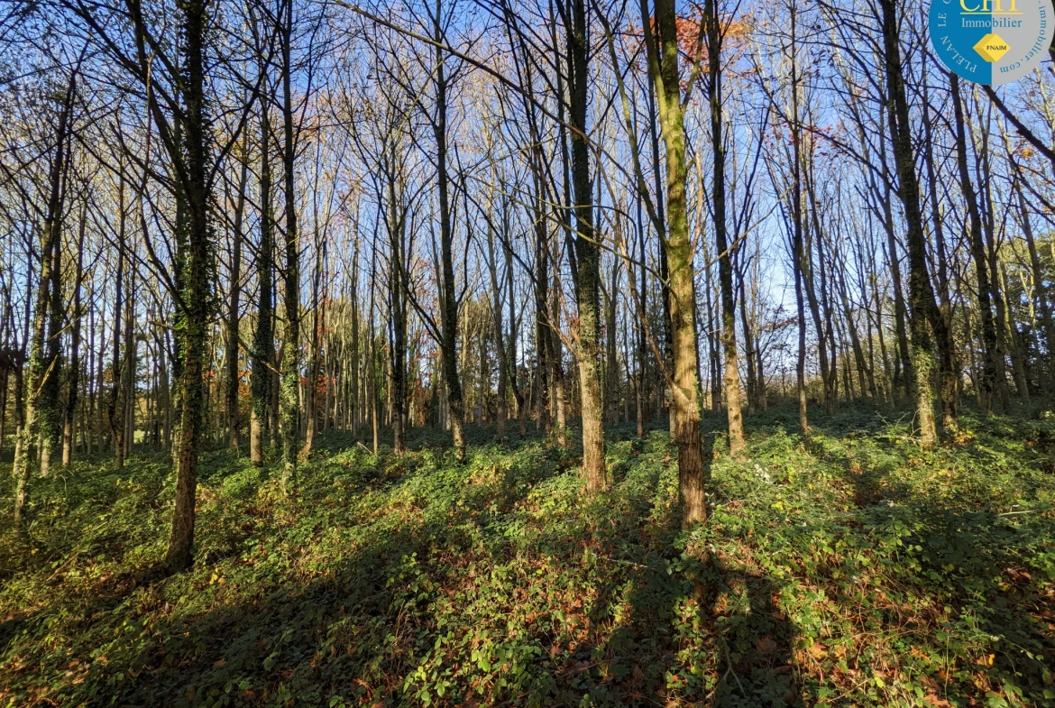 Terrain boisé de 9 550m2 à Guer (56) 